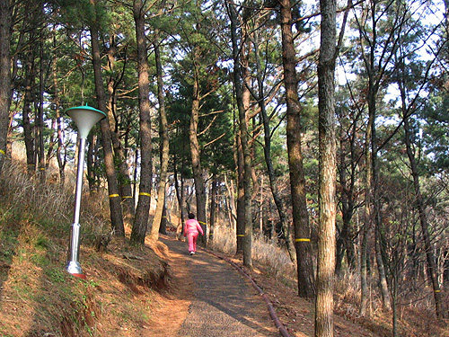 산림욕장은 웰빙족들의 천국입니다. 